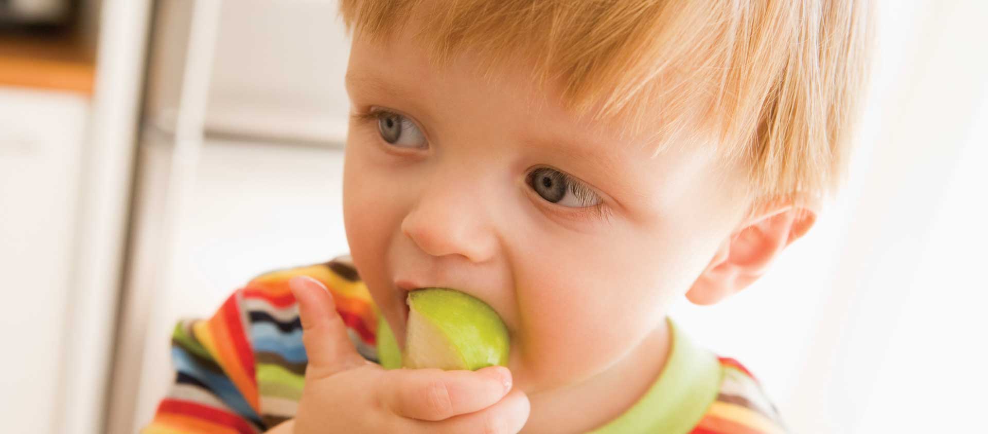 A young child gnaws on an apple slice.
