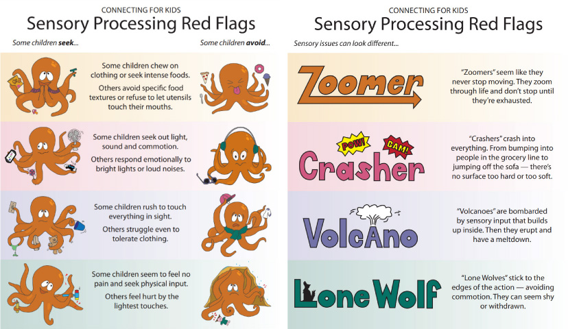 Screen shot of sensory red flags document